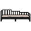 Farlough Solid Wood Daybed with Trundle-1867665022-1861693597