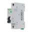 Wall Mounted Light Switch