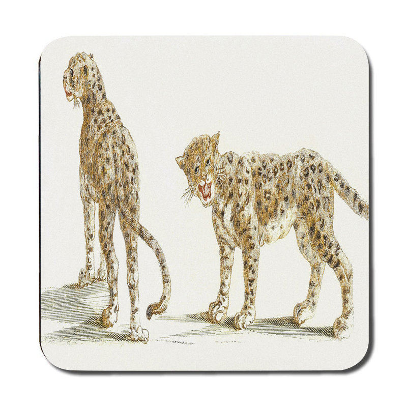 Leopard Print Placemat And Coaster Set For Dining Table Decor