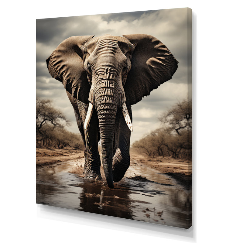 Portrait d'éléphant monochrome I - reproduction sur toile, H 32 po x l 24 po x P 1 po, Toile tendue