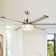 65'' Ceiling Fan with LED Lights
