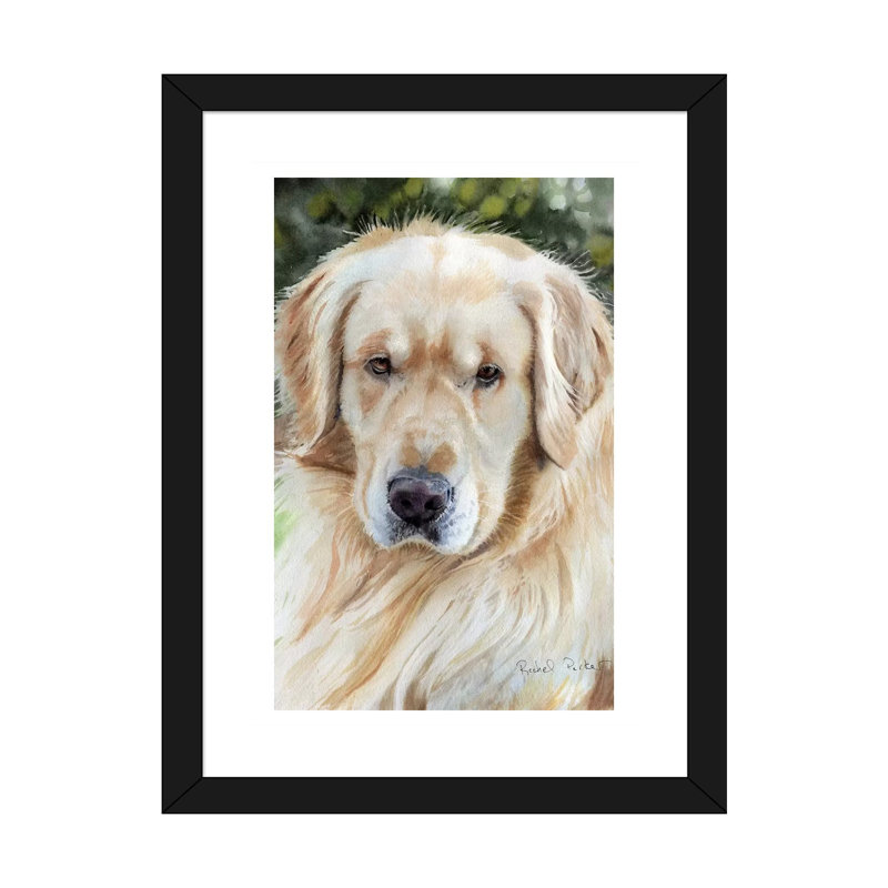 Golden Retriever Portrait par Rachel Parker - reproduction d'art, Blanc, H 32 po x l 24 po x P 1 po, Papier encadré noir