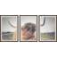 Cow's Eye View by Marmont Hill - 3 Piece Single Picture Frame Print-67011017