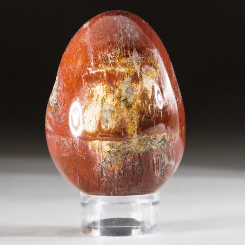 Petrified Wood Egg, Orange/Yellow/Brown, 3" H x 2" W x 2" D