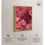 Décoration murale rosée sur toile «Roam Realm Roamer» par Art Remedy, cadre doré, 30 x 45-1264272972-1264272968