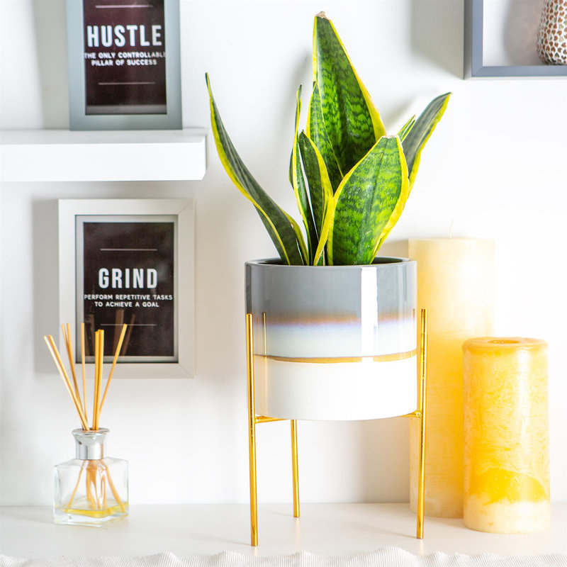 Nicola Spring - Reactive Glaze Plant Pots on Stands - 19cm, Grey/Gold