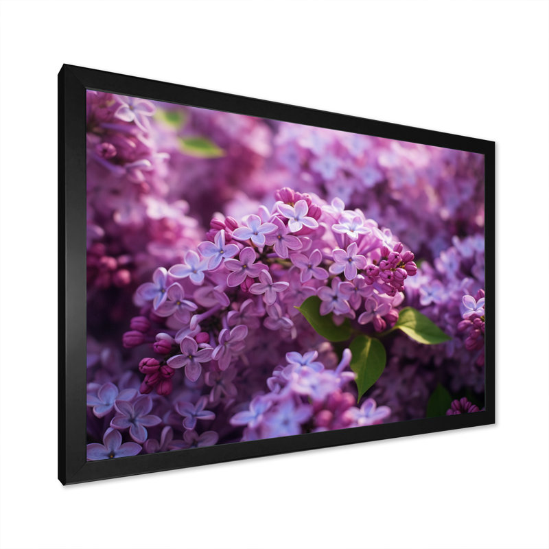 «Lilac mauve», impression sur toile, Cadre photo noir, H 24 po x l 32 po x P 1 po