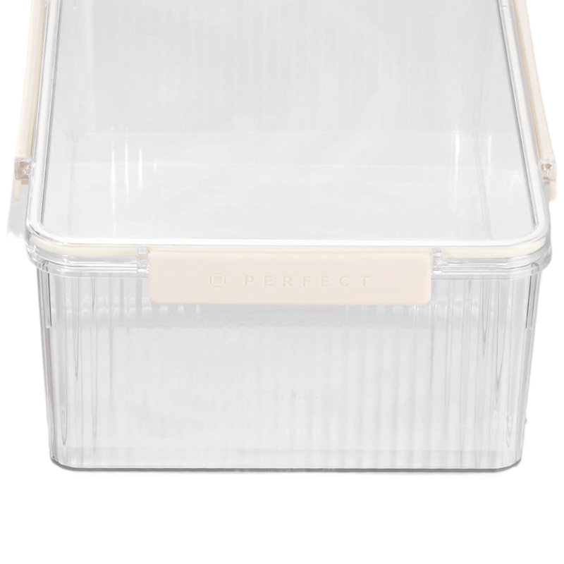 Rebrilliant Plastic Storage Tub & Tote
