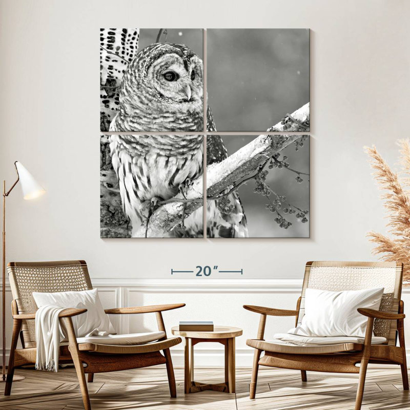 Brampt White Owl BW