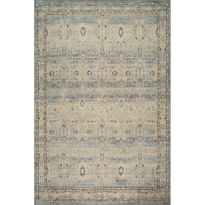  Tapis traditionnel délavé à bordure Thalindra, Rectangle 4' x 6'