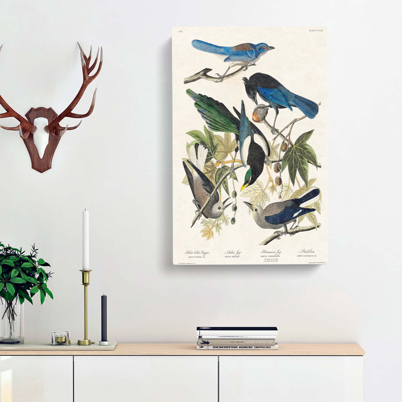 Magpie, Crow & Jay Birds by John James Audubon - Wrapped Canvas, 50cm H x 35cm W x 3cm D