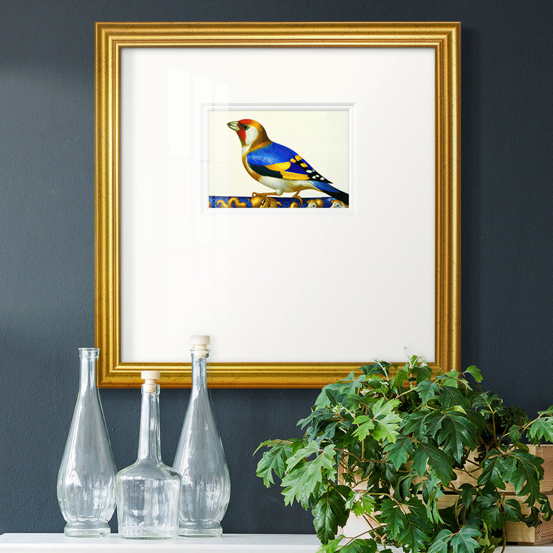 Blue Gold Finch - impression d'un seul cadre photo, H 17 po x l 17 po x P 1,25 po