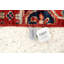 Aryana Wool Oriental Area Rug