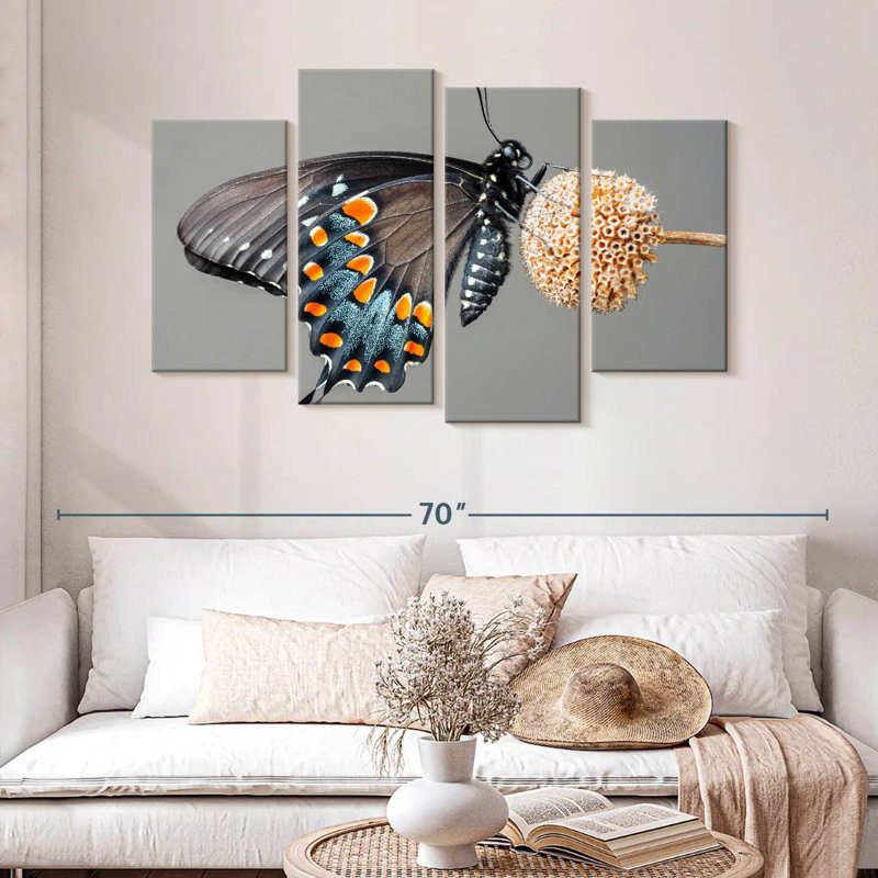 Black Swallowtail Butterfly