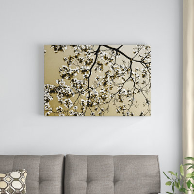 " Dogwood II " by Alan Hausenflock