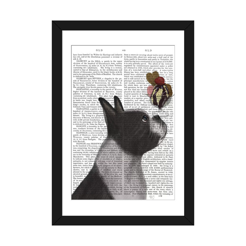 « boston terrier ice crème on print background », reproduction sur toile tendue Fab Funky, H 24 po x l 16 po x P 1 po, Blanc