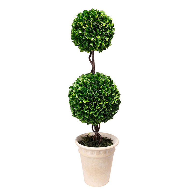 D7x22 "H à deux niveaux en fausse sphère de buis en pot crème