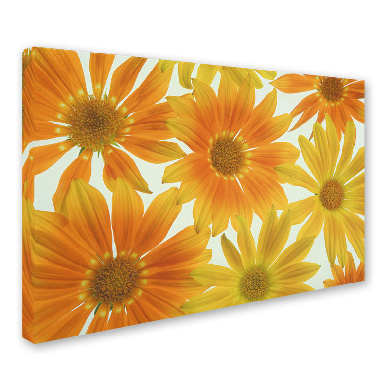 « orange marguerites », reproduction de photo sur toile tendue, H 22 po x l 32 po x P 2 po