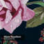 Rideau de douche floral avec 12 crochets-974346157