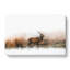 Deer Stag in the Fog in Abstract - Wrapped Canvas-55314497