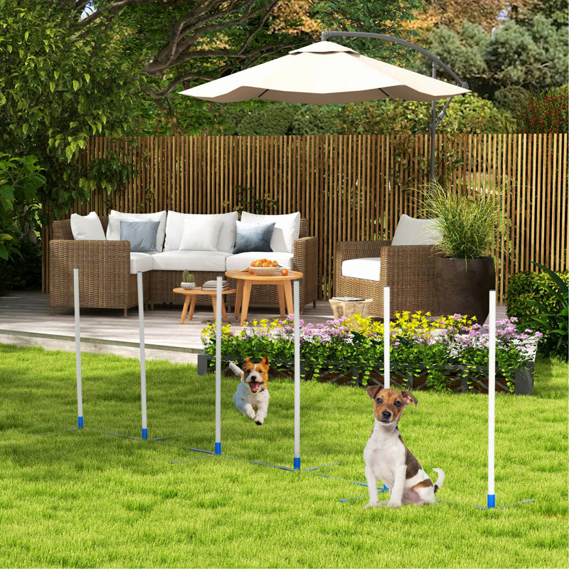 L'agilité portable pour chien tisse des poteaux - favorise le développement physique du chiot, plastique blanc, avec sac de rangement, trousse réglable L 120 po x P 23,5 po H 37 po.