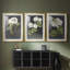 «Dramatic White Flowers I», reproduction sur mesure encadrée de qualité supérieure, mat, 3 pièces-1991576280-1991576283