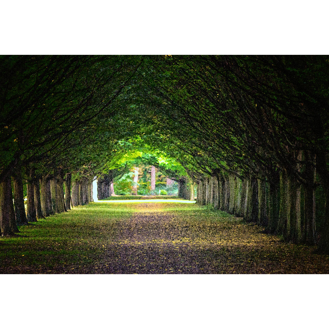 Allee durch Bäume in einem formalen Garten