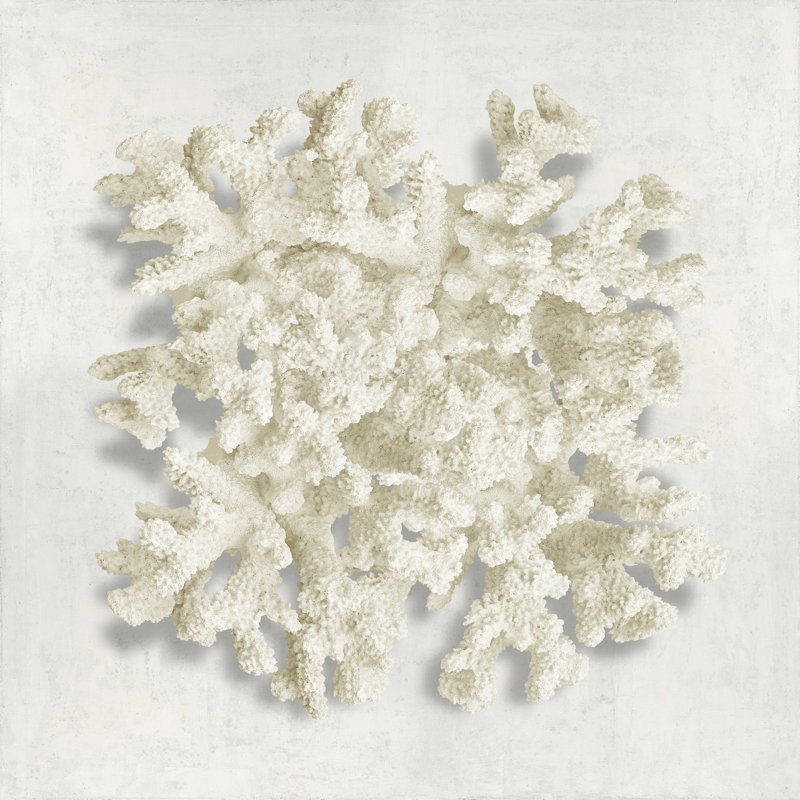 «Coral II» par Caroline Kelly - reproduction d'art sur toile tendue, H 12 po x l 12 po