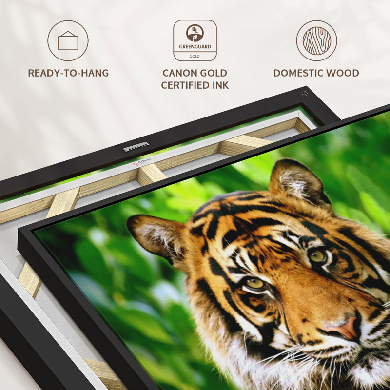 Animal "Art mural regard de tigre de Sumatra", H 27 po x l 40 po