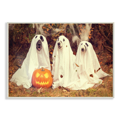 « rétro photographie halloween citrouille et ghosting dogs », reproduction de photo