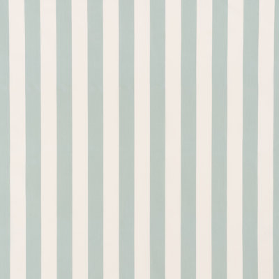 Andy Stripe Fabric