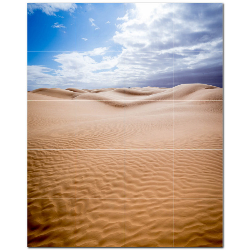 Murale décorative en céramique satinée 4,25 po x 4,25 po Desert Photo