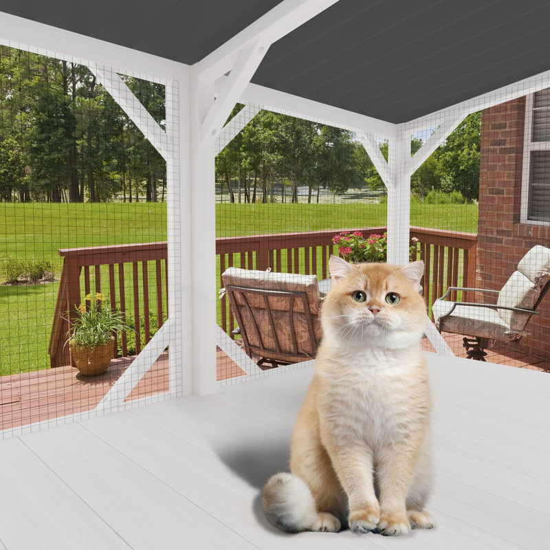 Fenêtre pour chat, enceinte de 43,3 po, grands chats d'intérieur, conception facile à installer, cage toutes saisons, vue à 3 côtés, sieste et bain de soleil
