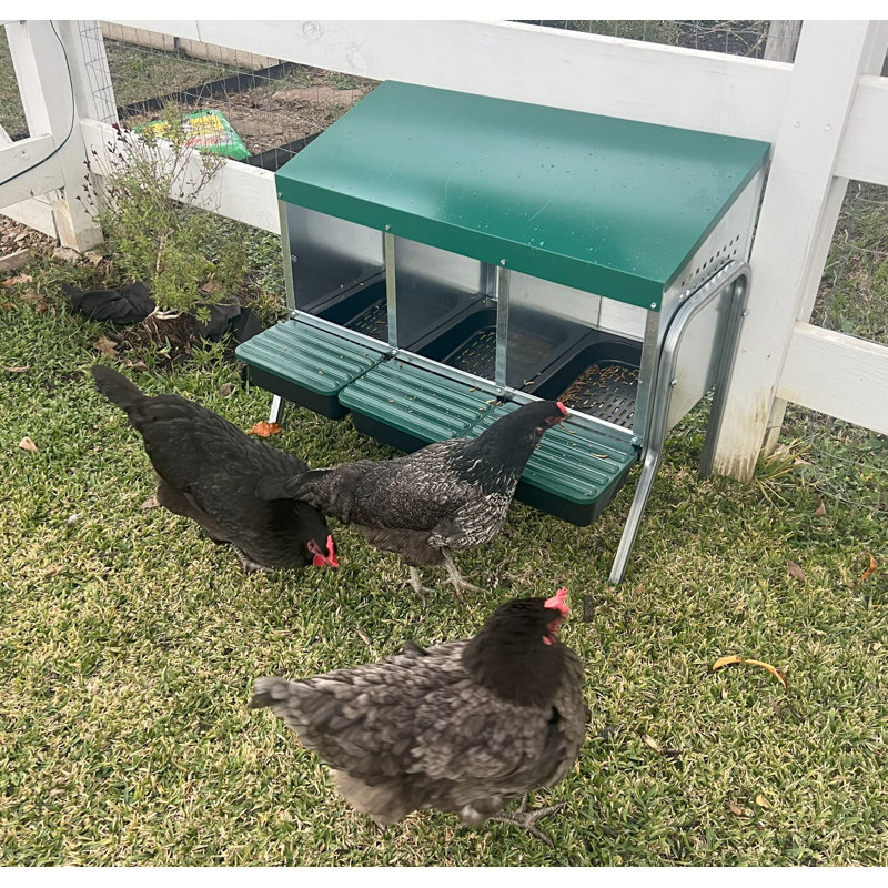 Zylina Metal 3-Bay Freestanding Nesting Box with Legs