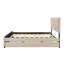 Grand lit plateforme tapissier en velours avec gigogne simple TG, beige