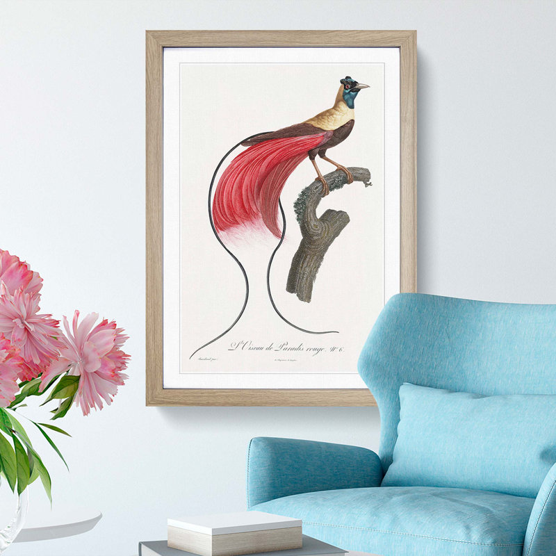 Red Bird of Paradise by Jacques Barraband - Picture Frame Painting Print, 48cm H x 36cm W x 2cm D, Oak Framed