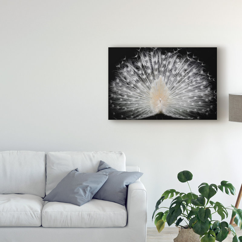 White Peacock Portrait by Pino Liddi - Print on Canvas, 30" H x 47" W x 2" D