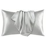 Silk Satin Soft Pillowcases 2 PCS(Cover Only)