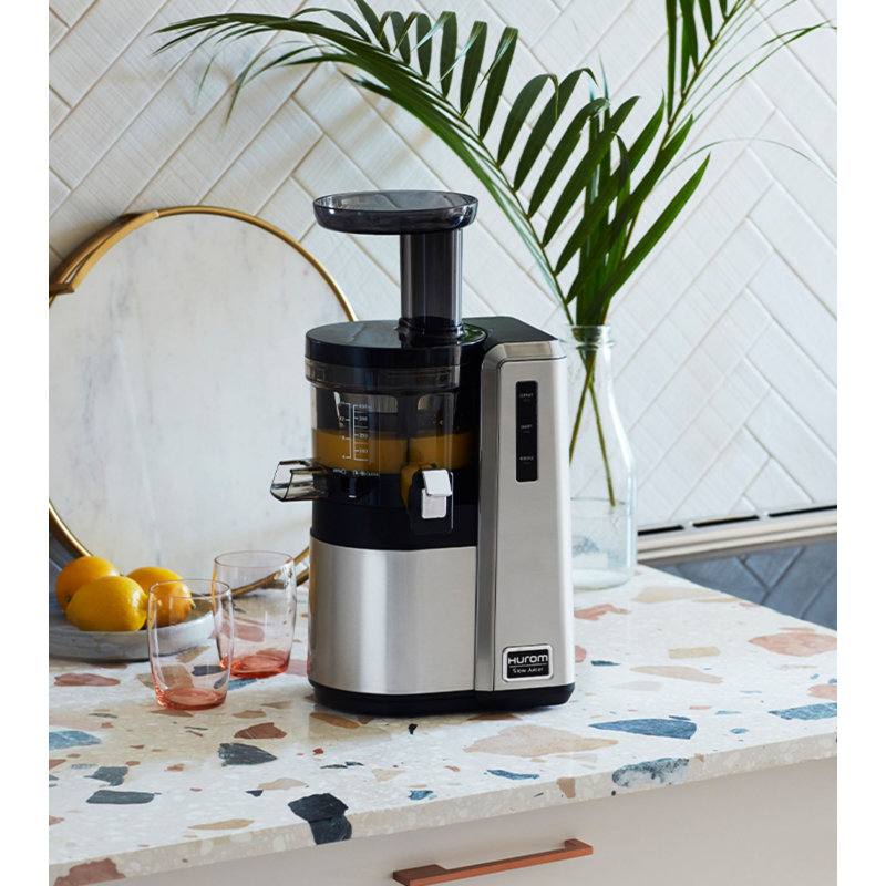 Hurom HZ Alpha Series 43 Speed Slow Masticating & Cold Press Juicer, Silver