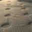 Photos des clients 1 de 2