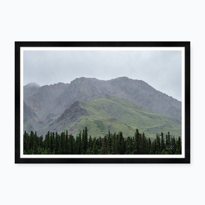 Tree Line Color Shift - photographie avec cadre photo