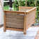 Umber Teak Porch Swing with Cushion