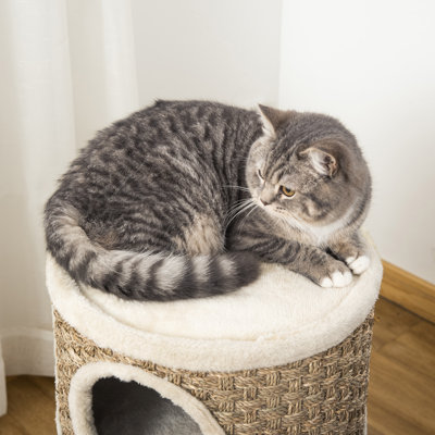 27.5'' H Deborath Cat Tree