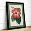 Hibiscus Study Botanical - Framed Print-1496888451-1496888476
