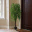 195cm Plant
