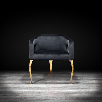 Iseminger 19'' H Velvet Upholstered Armchair