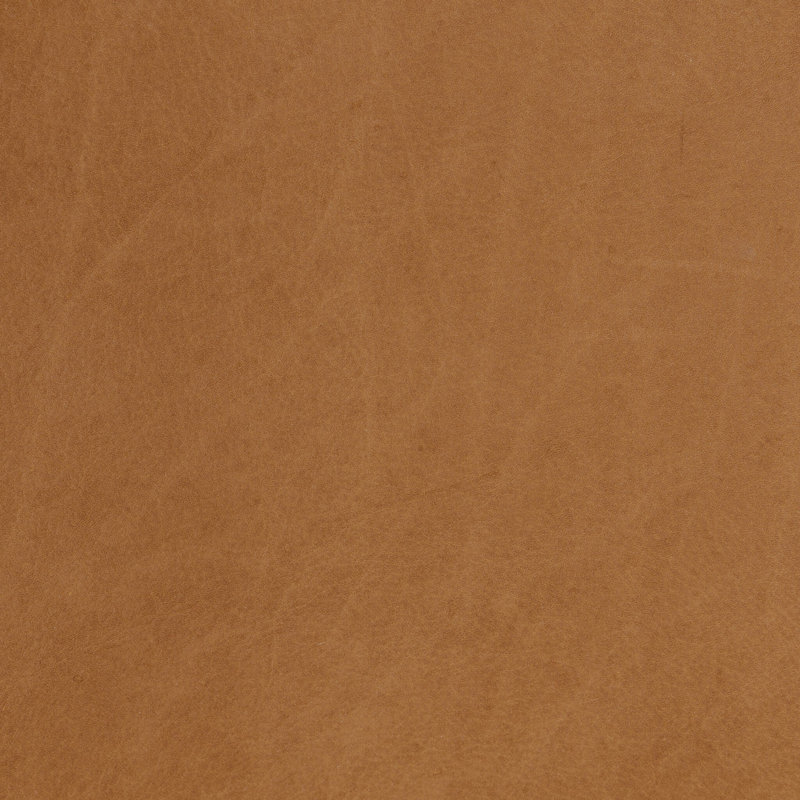 Arlow Upholstered Dining Chair