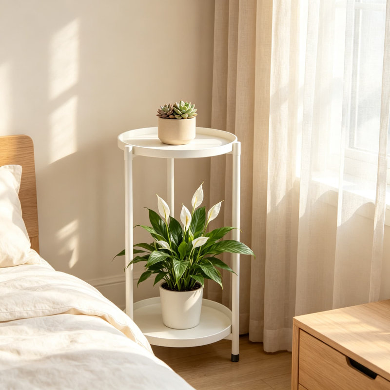 Support à plante à 2 niveaux pour plantes d'intérieur, support à fleurs rond en métal