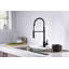 Prime Collection High-Arc Single Handle Kitchen/Bar Faucet with 2-Function Pull-Down Spring Spout Sprayer - Oil Rubbed Bronze-19182728