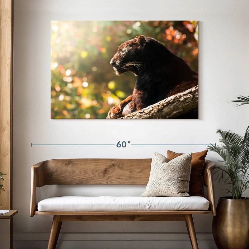Resting Black Panther, 32" H x 48" W